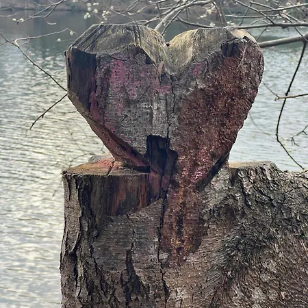 Apartment Wessling Lejlighed Weßling