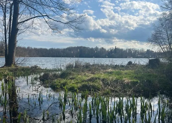 Daire Apartment Wessling